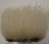 polar bear fl white premium